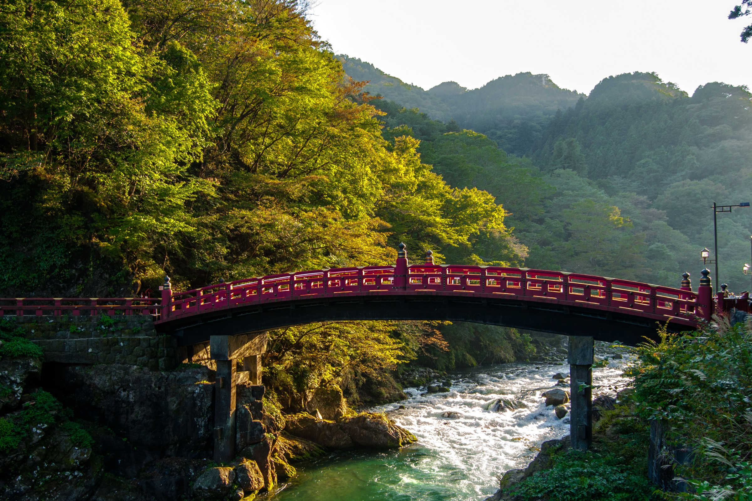 nikko (4).webp